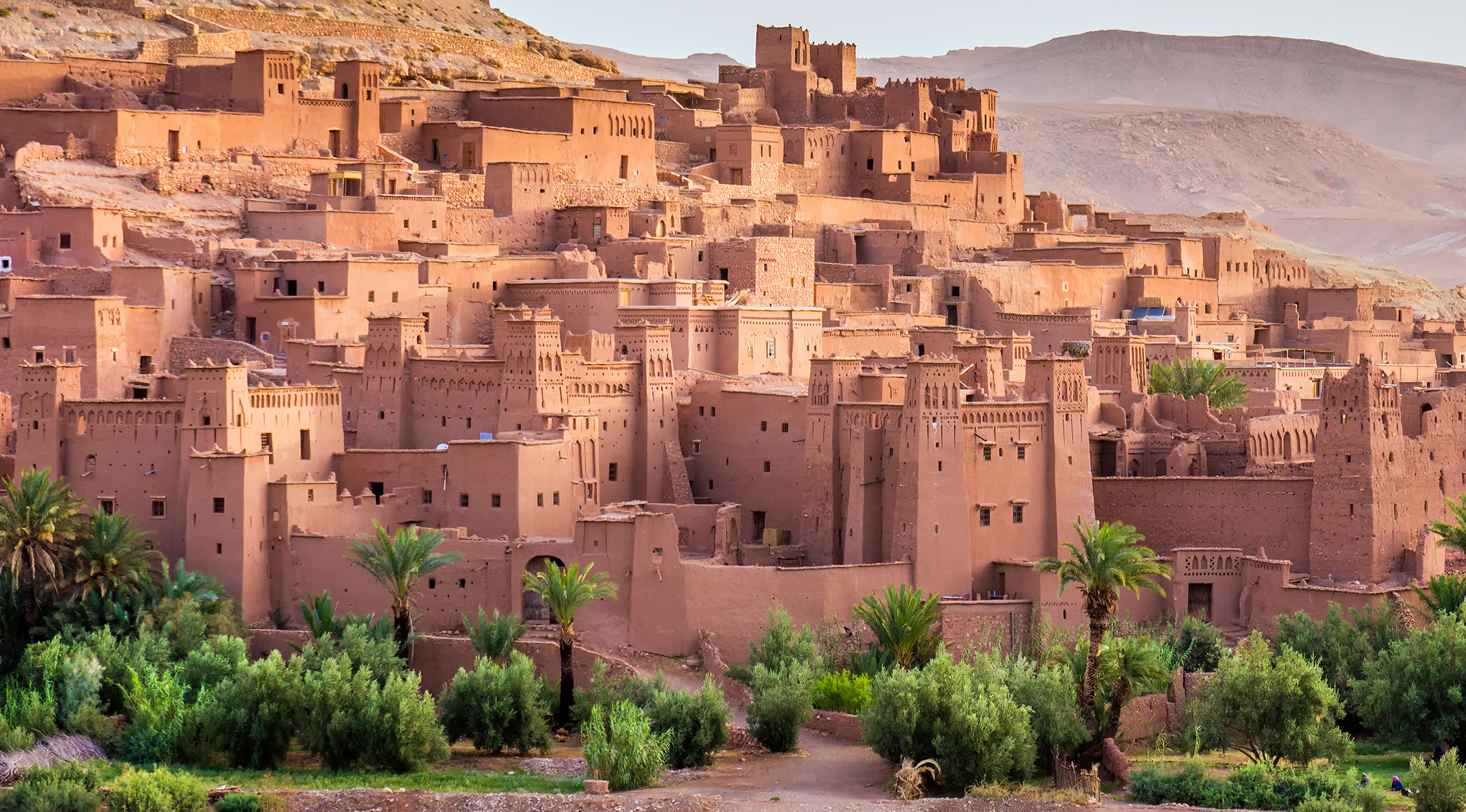 Eat Local in Morocco