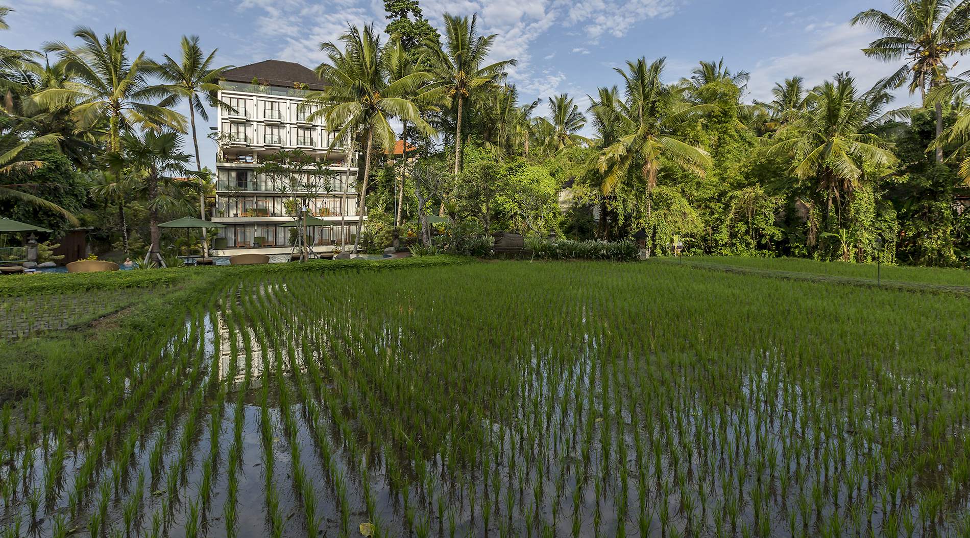 Eat Local in Ubud