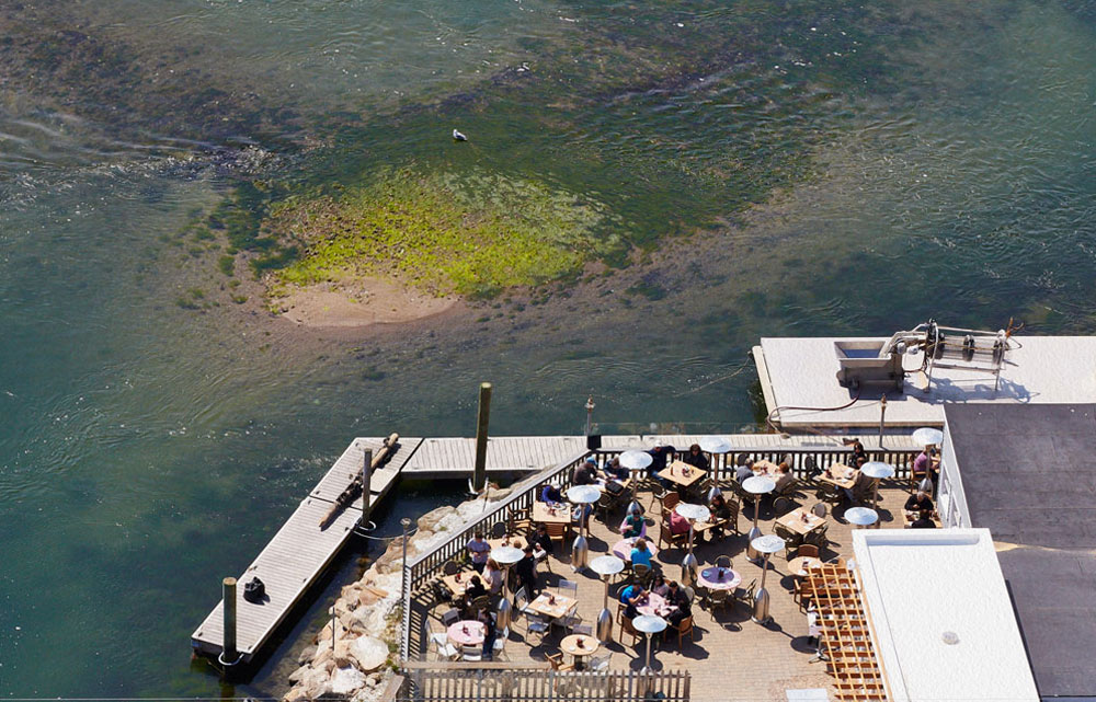 casino clam bar