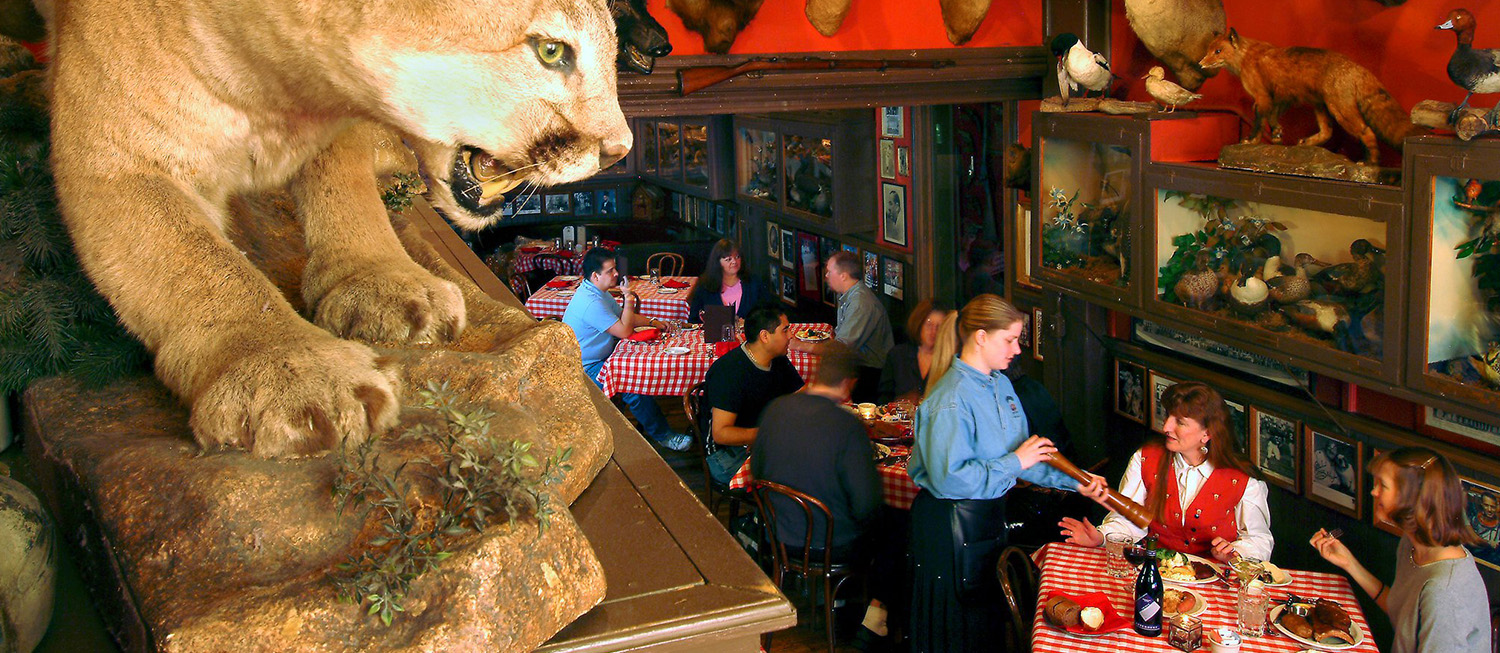 Rocky Mountain Oysters In The Buckhorn Exchange TasteAtlas