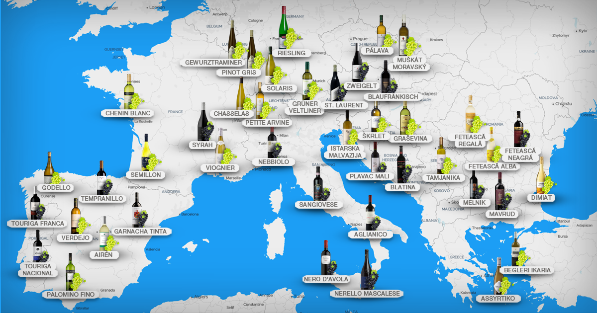 Wine Varieties of the World: 245 Wine Variety Types | TasteAtlas