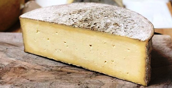 Traditional Welsh Caerphilly Local Cheese From Wales, United Kingdom